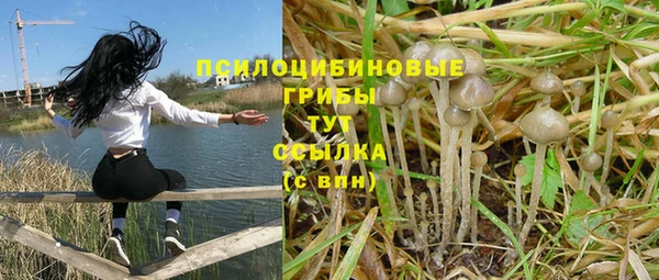 винт Алексин