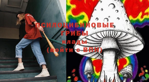 соль курить ск Алексеевка
