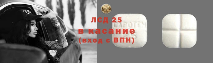 винт Алексин