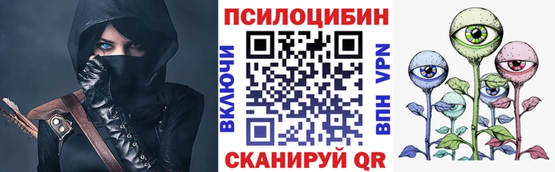закладка  Тотьма  Галлюциногенные грибы MAGIC MUSHROOMS 